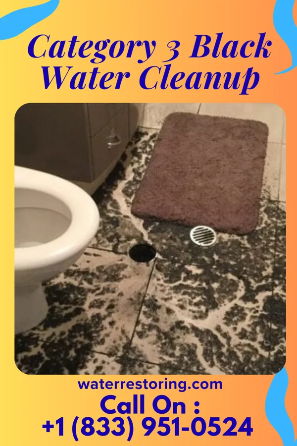 Category 3 Black Water Cleanup in Cape St. Claire, MD