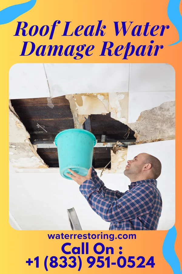 Roof Leak Water Damage Repair in Cape St. Claire, MD